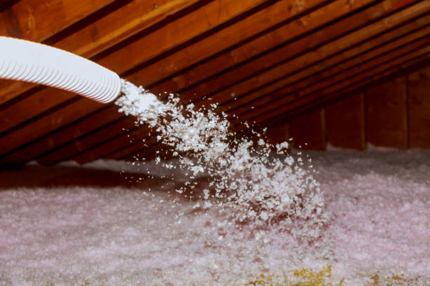 Best Home Insulation Services  in Maize, KS