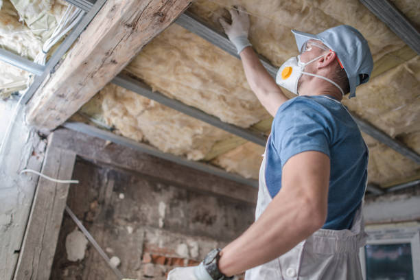 Best Attic Insulation Installation  in Maize, KS