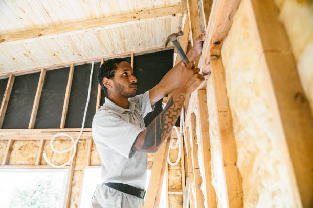Best Home Insulation Services  in Maize, KS