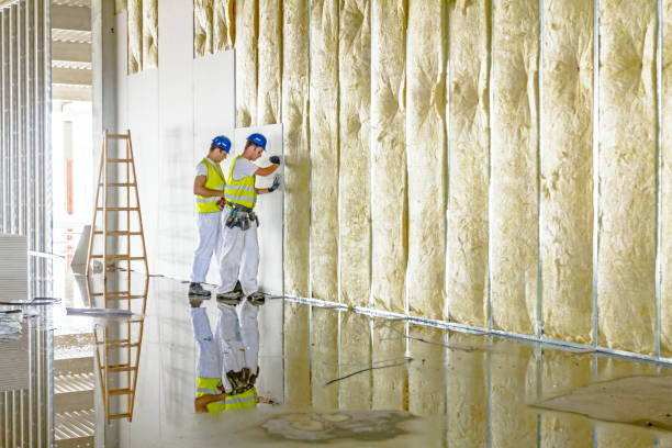 Best Attic Insulation Installation  in Maize, KS
